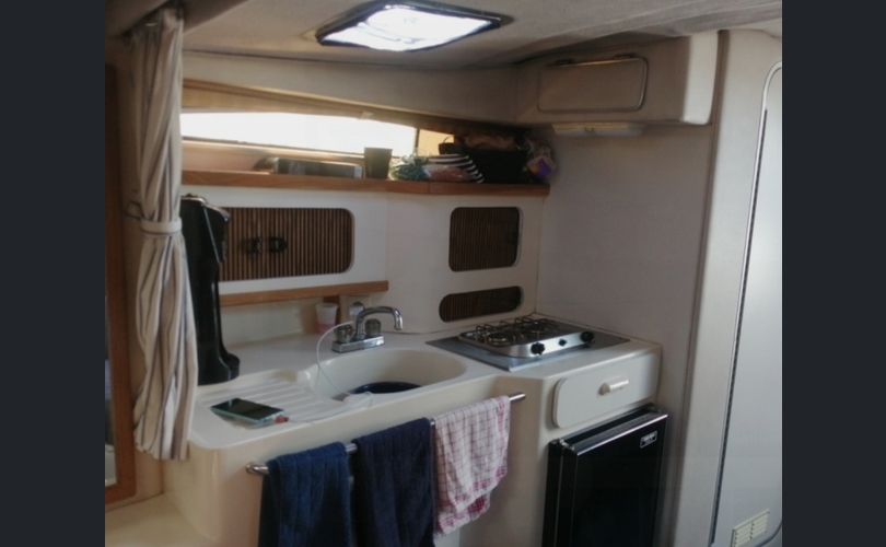 Sea Ray Sundancer 290-kuva-11